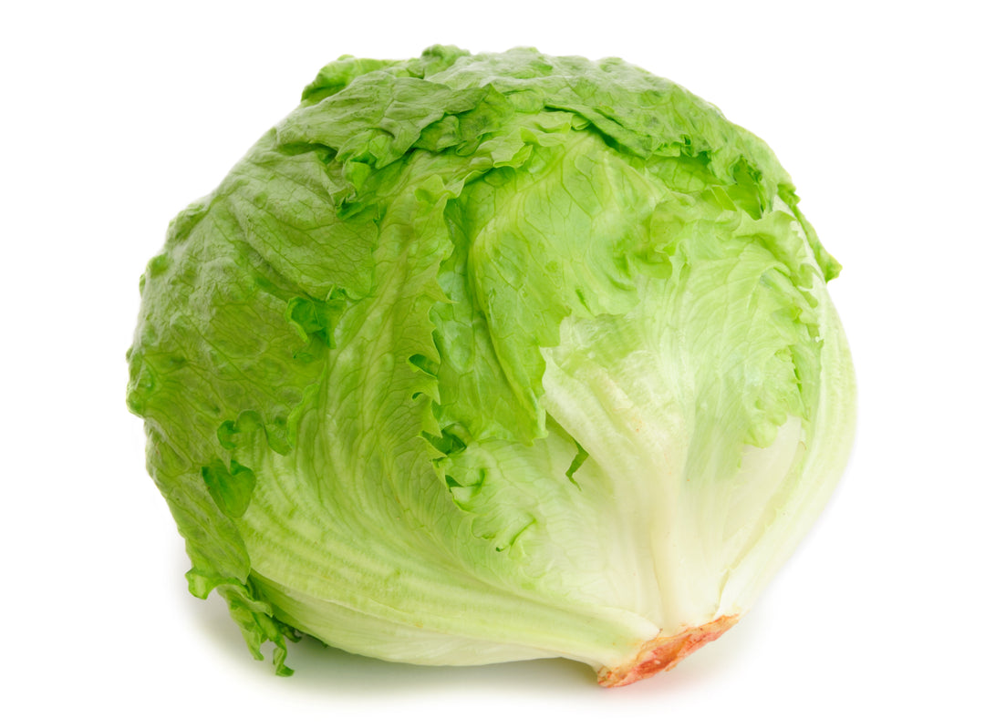 Lechuga | Todo Sano - Sólo Envío Local
