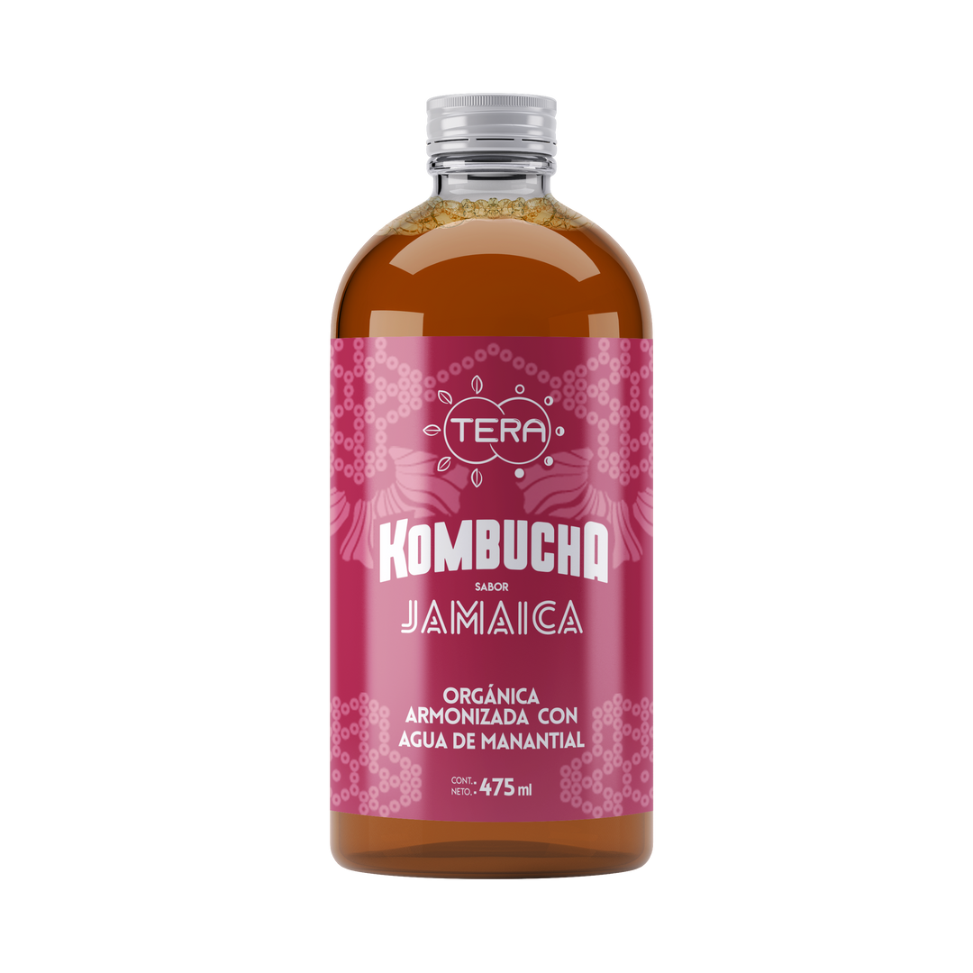 Tera Kombucha Sabor Jamaica 475 ml (Refrigerado) l Tera