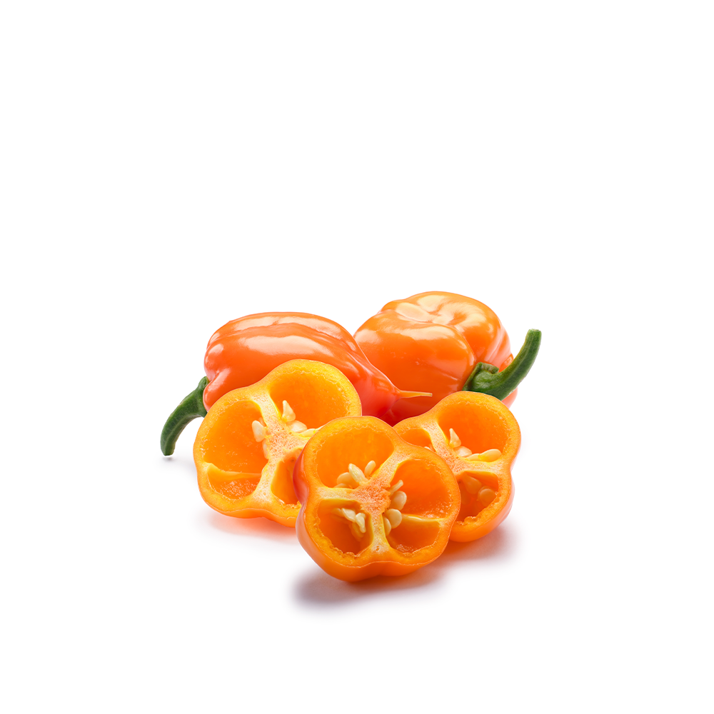 Chile Habanero | Todo Sano - Sólo Envío Local