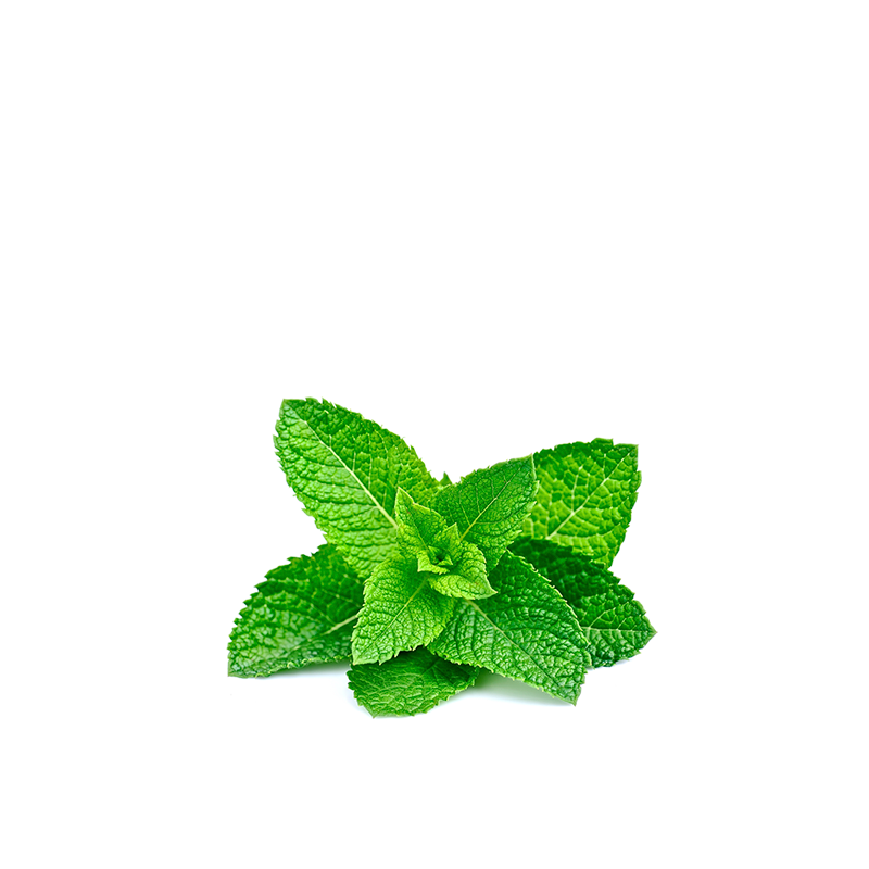 Menta | Todo Sano - Sólo Envío Local