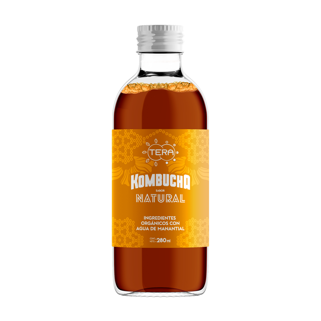 Tera Kombucha Sabor Natural 280 ml (Refrigerado) - Orgánica Antioxidante