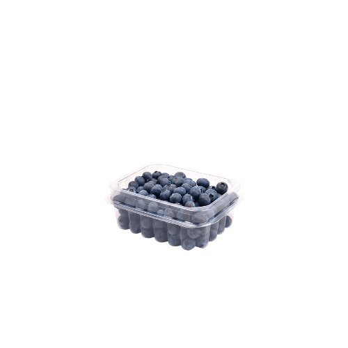 Blueberry(Domo) | Huerto