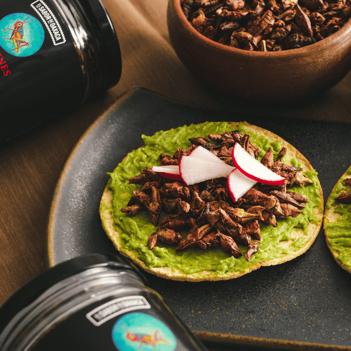 Chapulines Al Adobo 100 GR | Sabor de Oaxaca