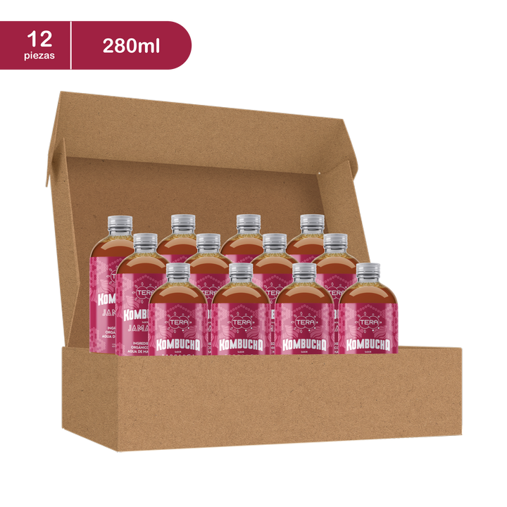 Tera Kombucha Sabor Jamaica 280 ml (Refrigerado) - Orgánica Antioxidante