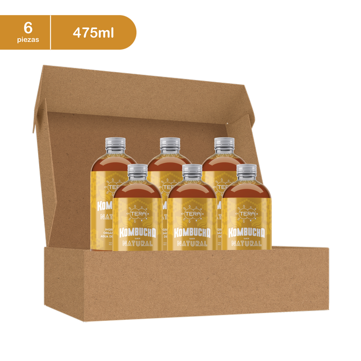 Tera Kombucha Sabor Natural 475 ml (Refrigerado) l Tera