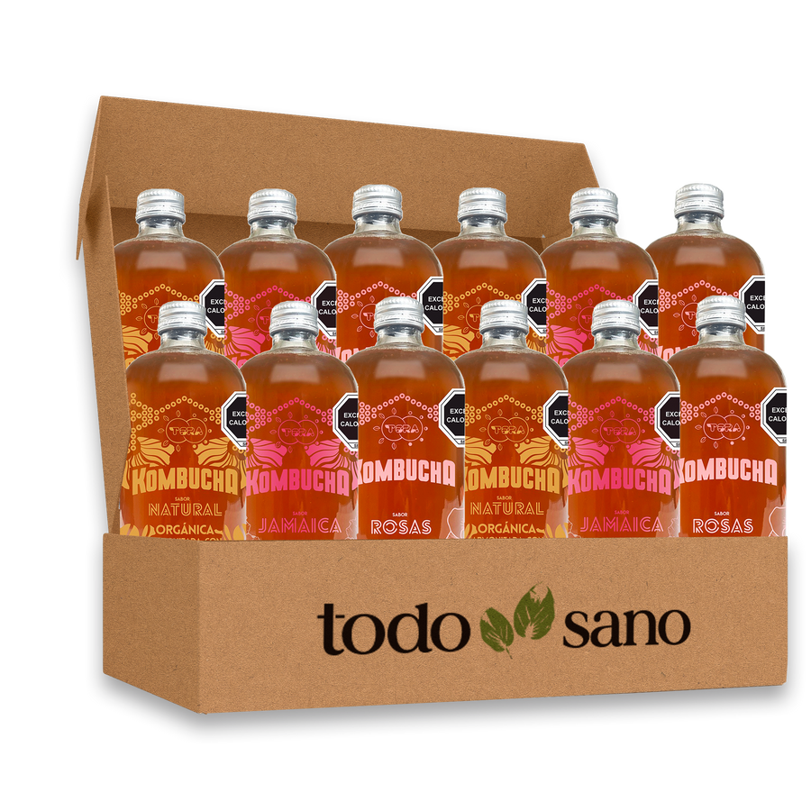 kombucha orgÃ¡nica 