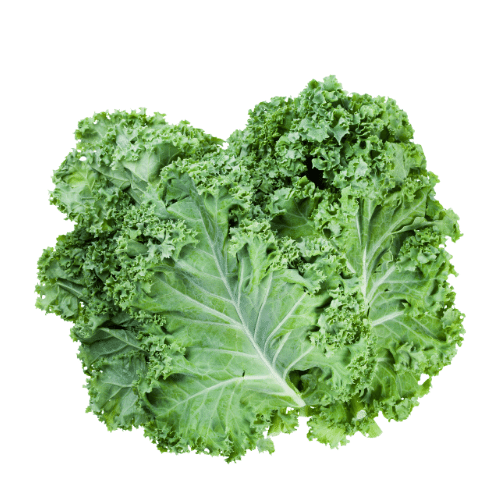 Kale | Huerto
