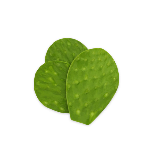 Nopal cambray | Huerto